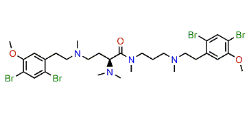 Volutamide F